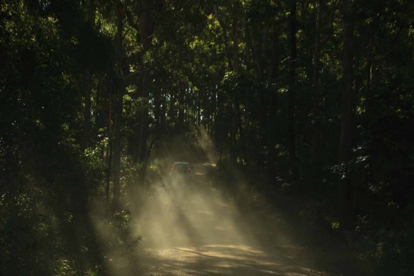 The first time I've enjoyed driving in someone's dust trail with the sunlight shining through making for a picturesque drive.